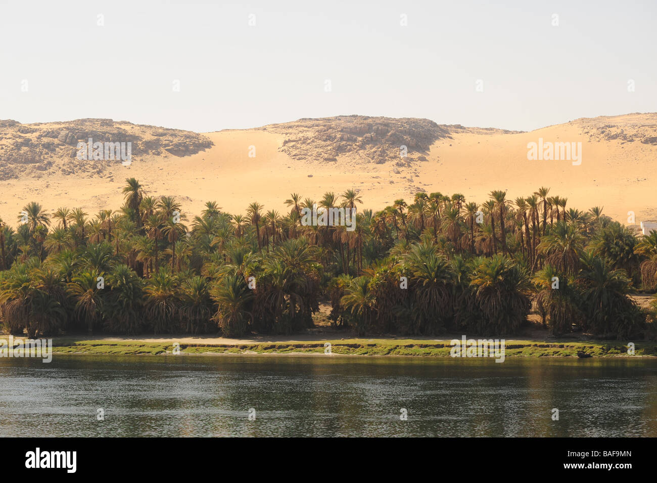 Africa Egypt desert sands of the Sahara meet the Nile River with date