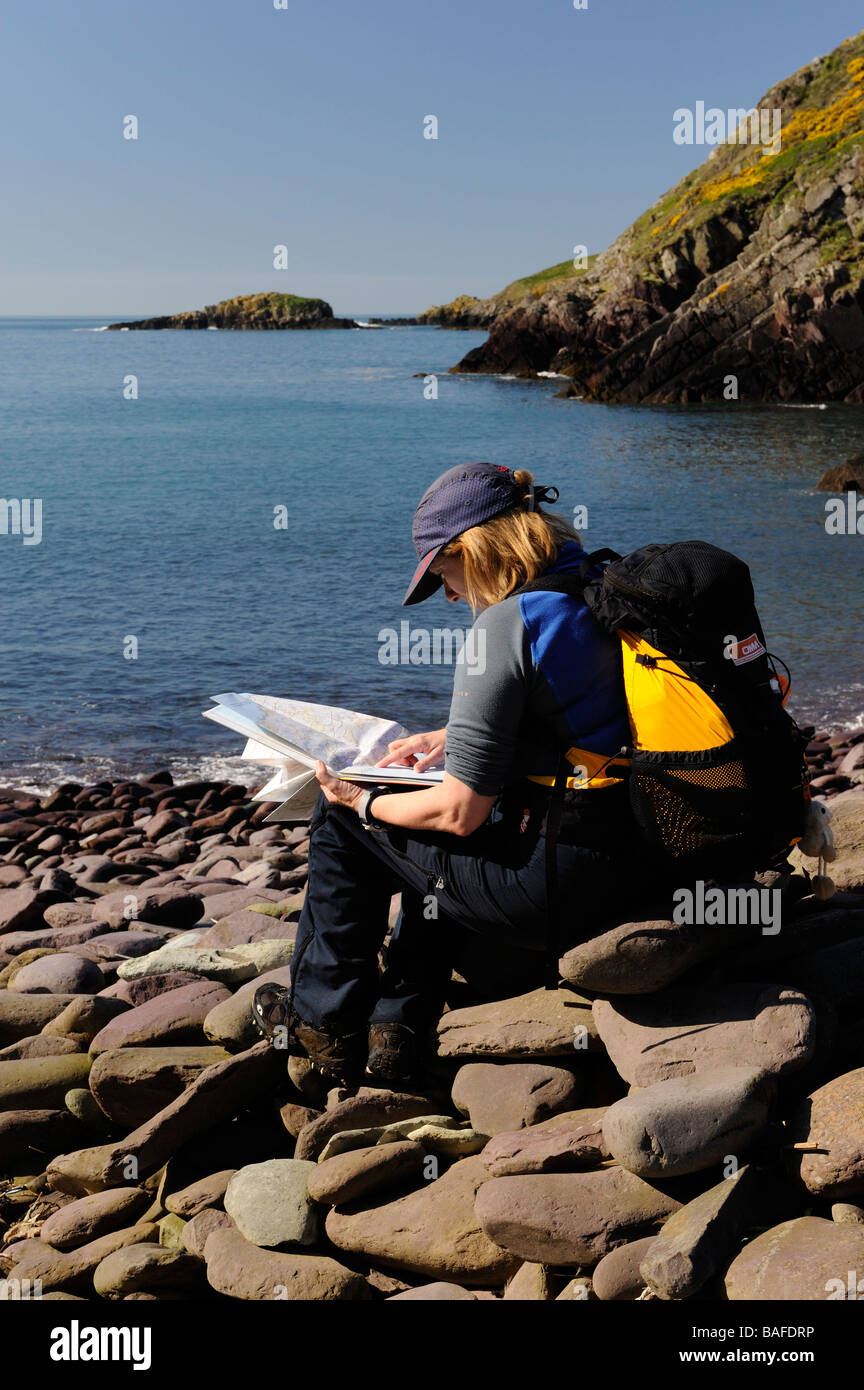 Woman checking the route while on the Pembrokeshire Coastal Path Stock Photo