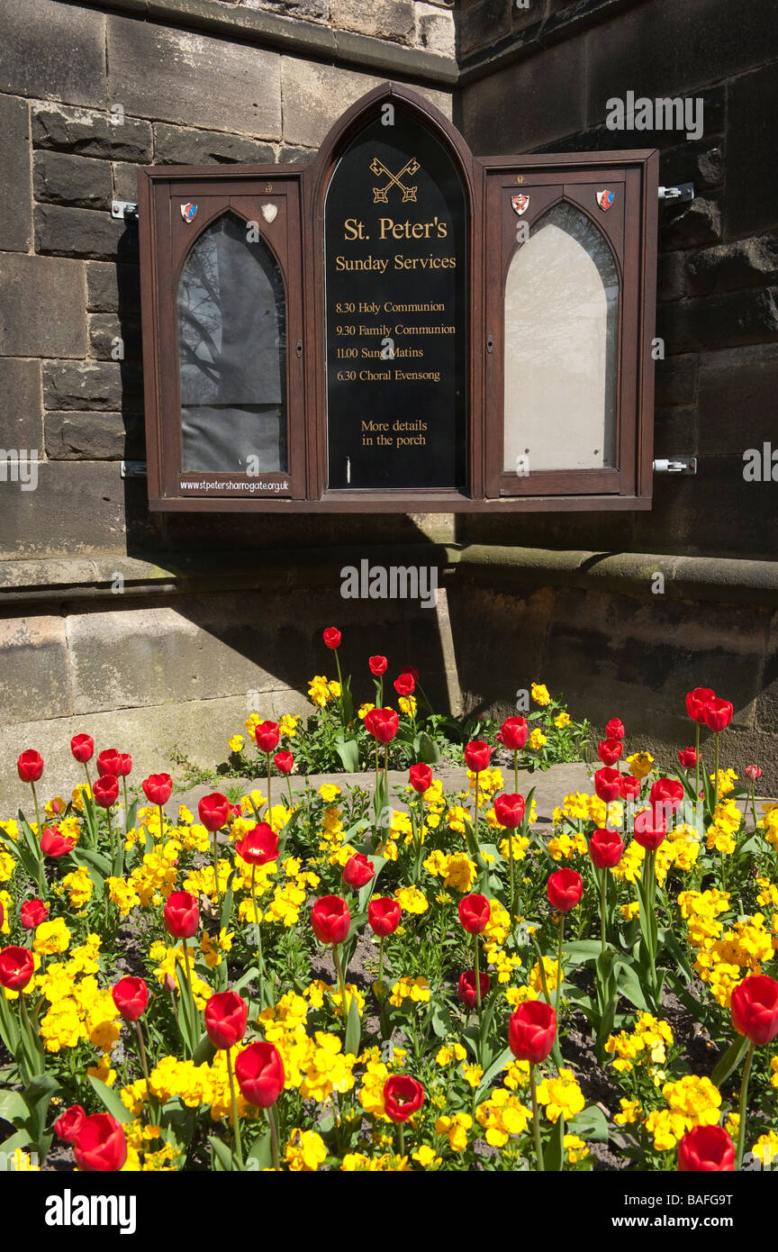 red tulips yellow wallflowers at 'St Peters Church' in Harrogate,'North Yorkshire', England, 'Great Britain' Stock Photo