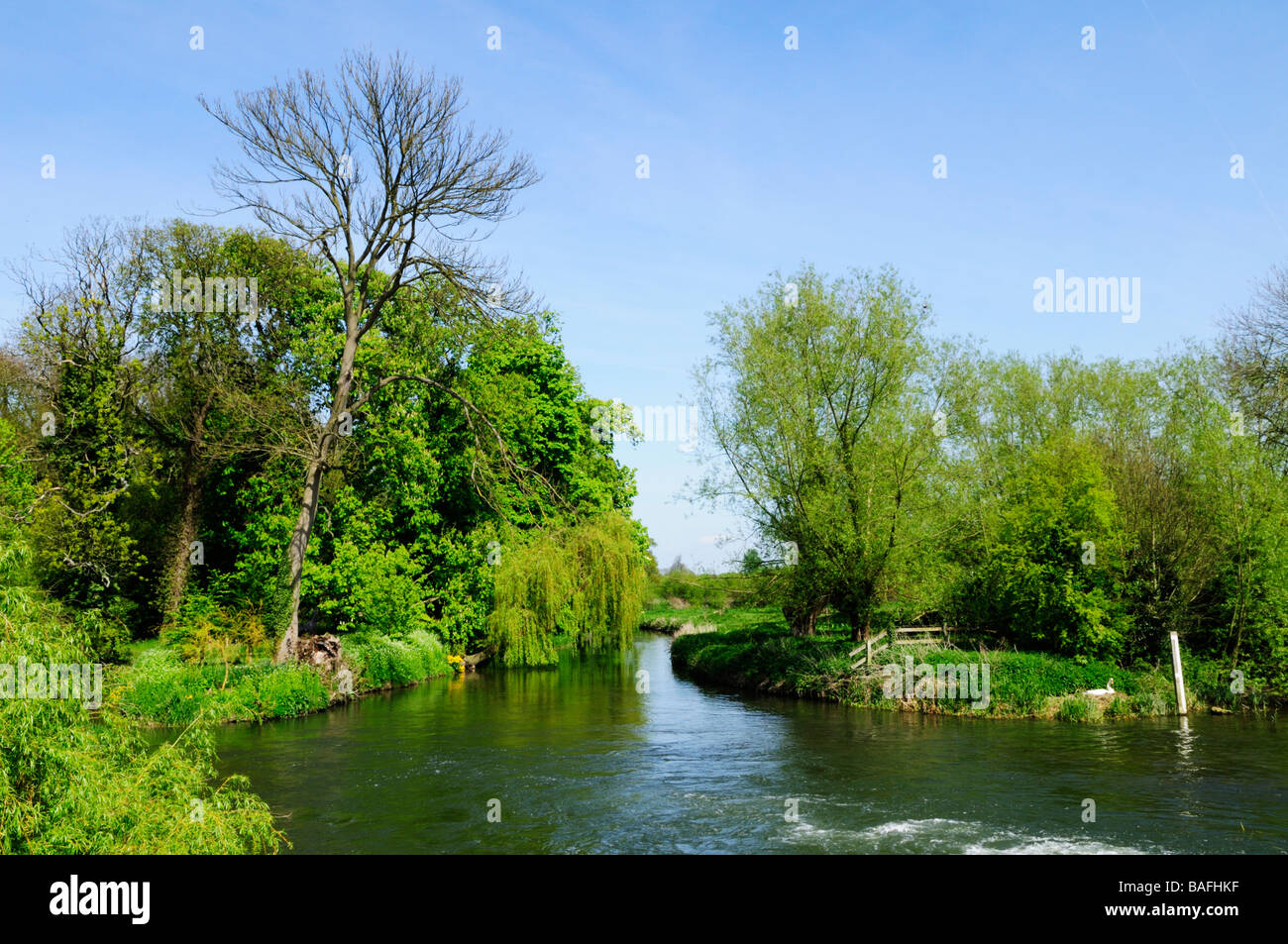 Mill Pond at Grantchester Cambridgeshire England Uk Stock Photo