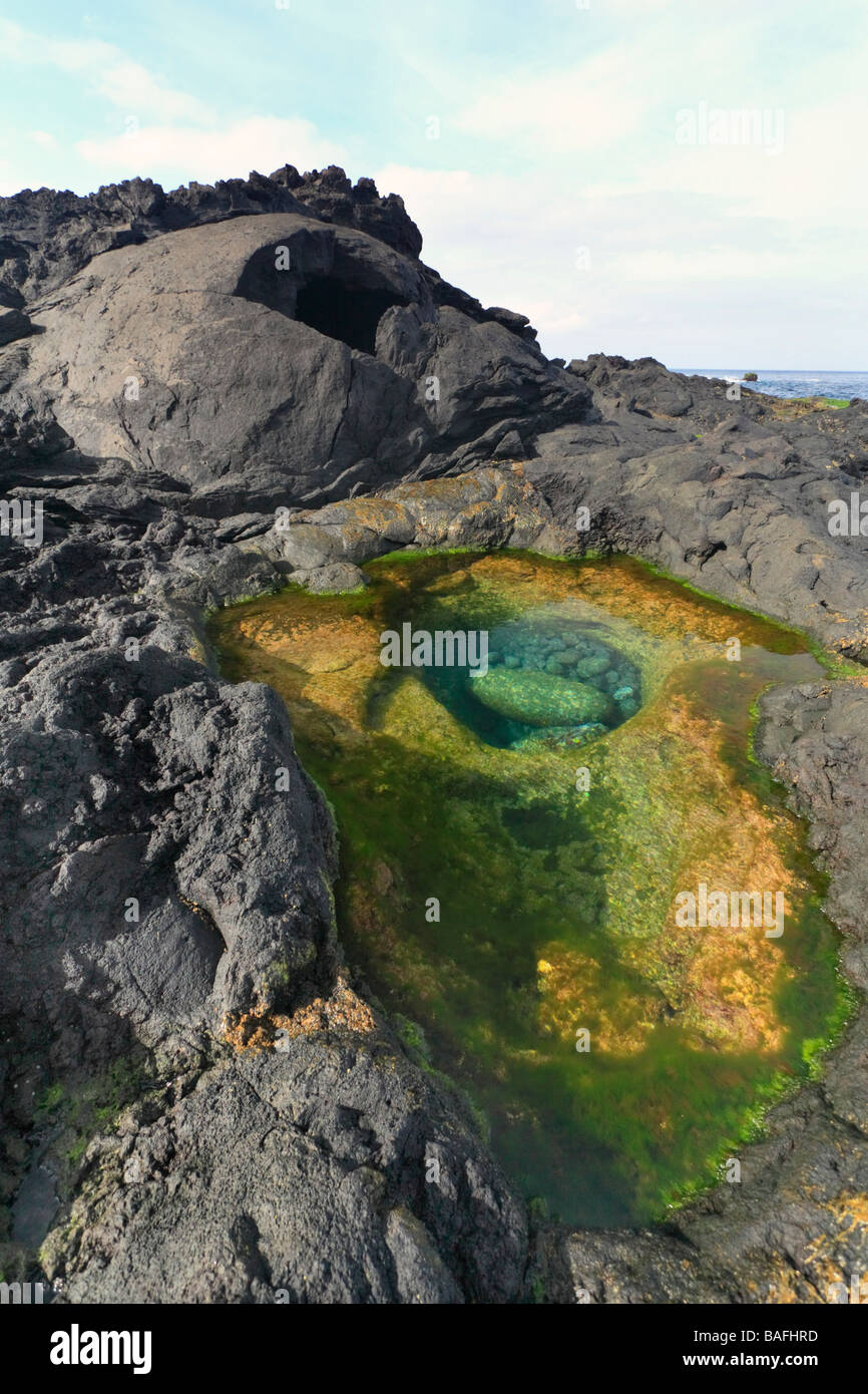 Eroded lava tunnel and tidal pool. Sao Miguel island, Azores, Portugal