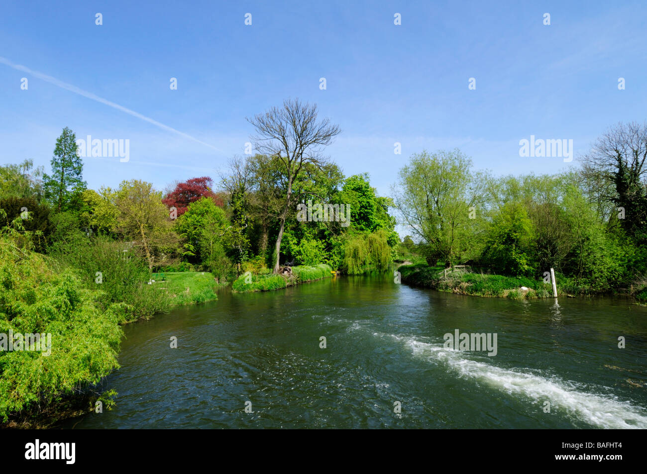 Mill Pond at Grantchester Cambridgeshire England Uk Stock Photo