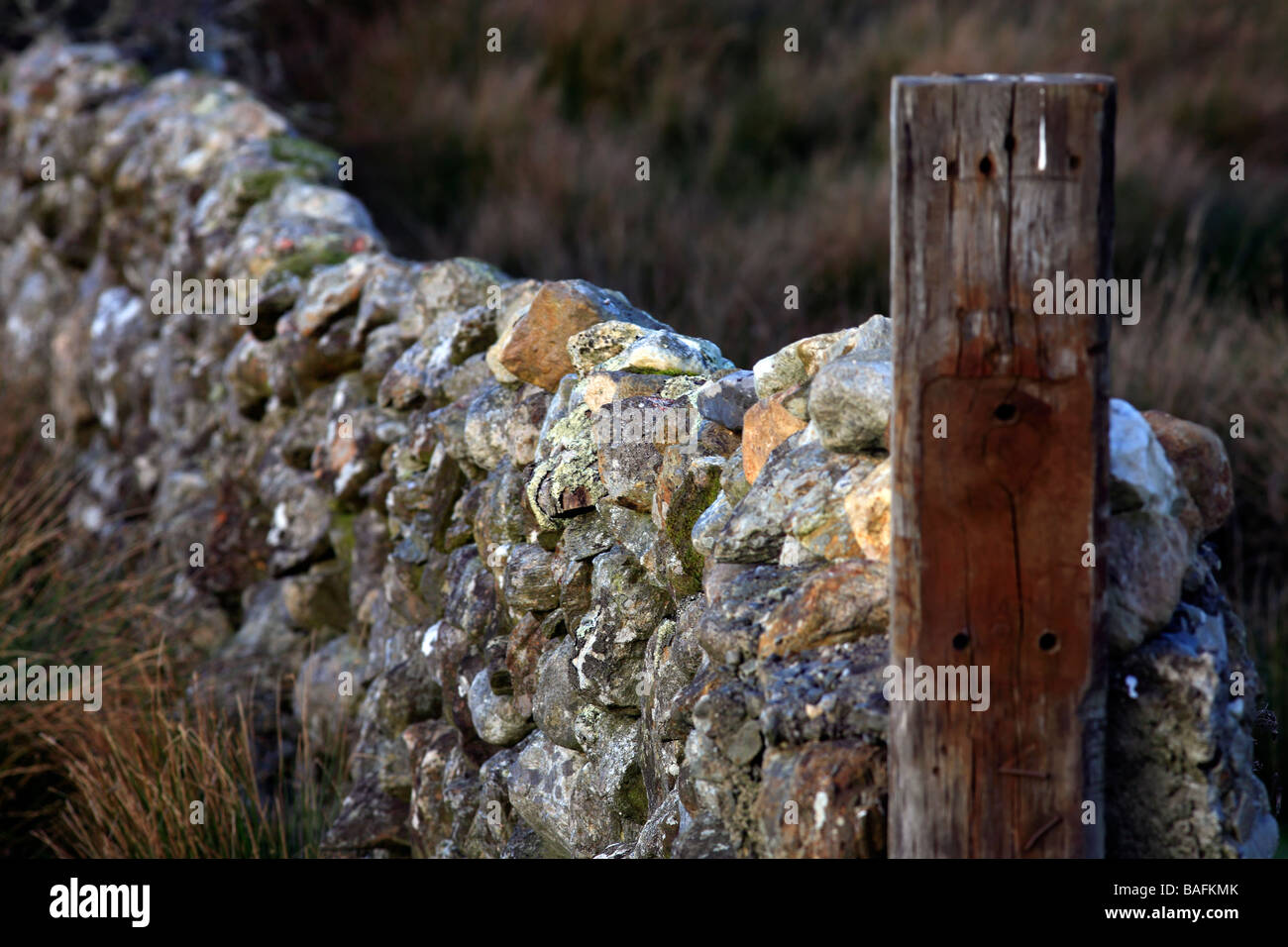 Close up of a Stone Wall and Wooden Fence Post in The Burren Ireland Stock Photo