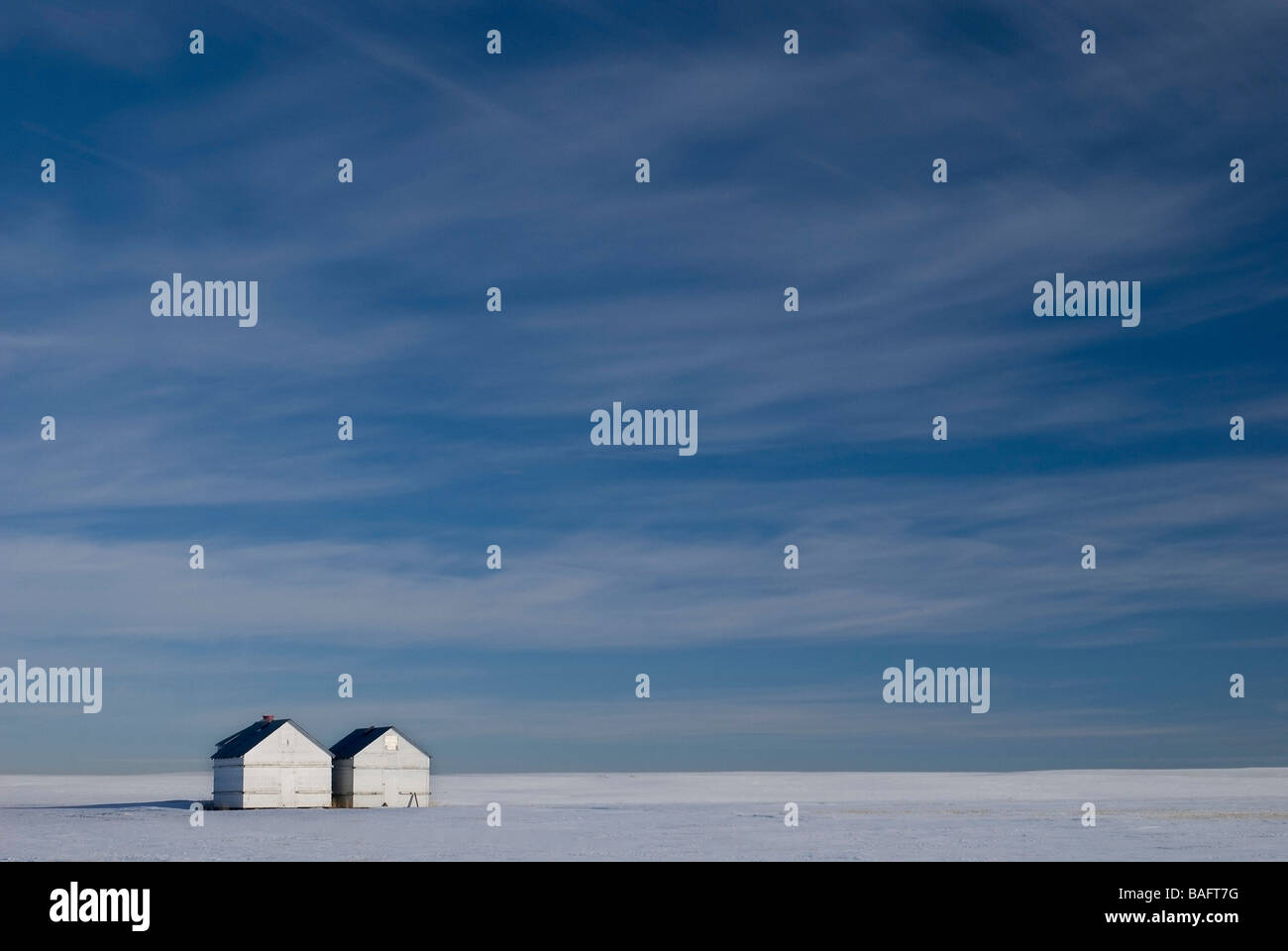 Hussar alberta hires stock photography and images Alamy