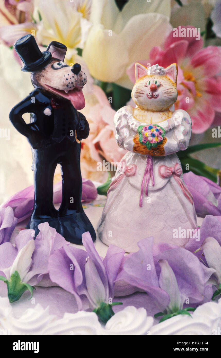 Dog and cat cake topper Stock Photo Alamy