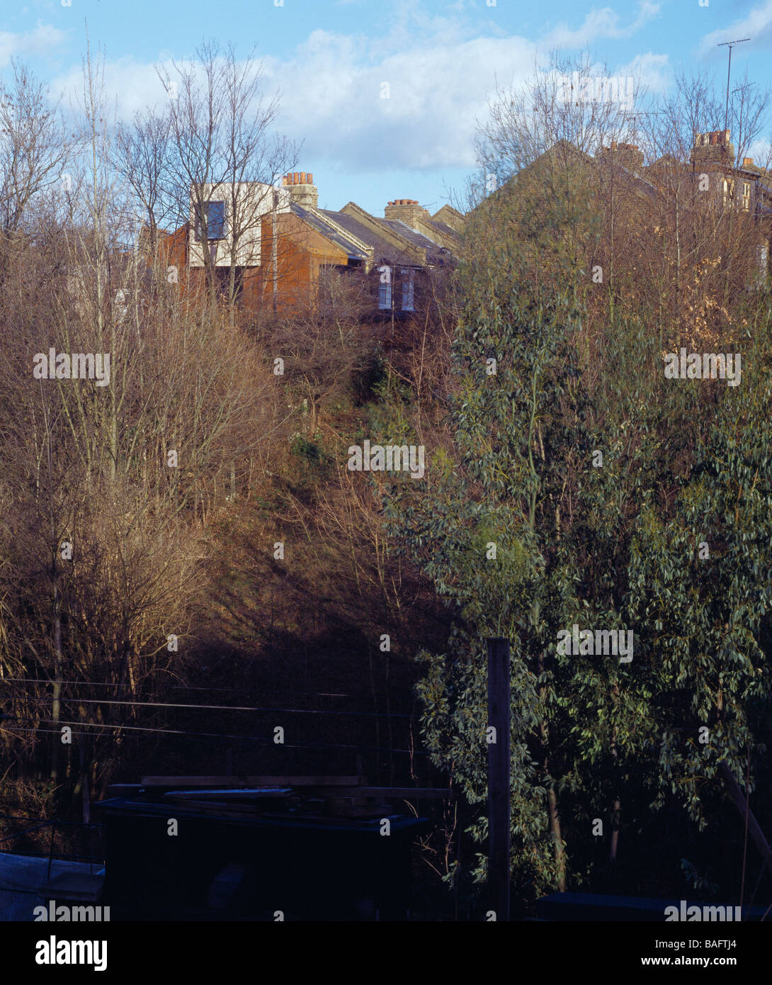 Private House, London, United Kingdom, Chance De Silva Architects, Private house view from allotments. Stock Photo