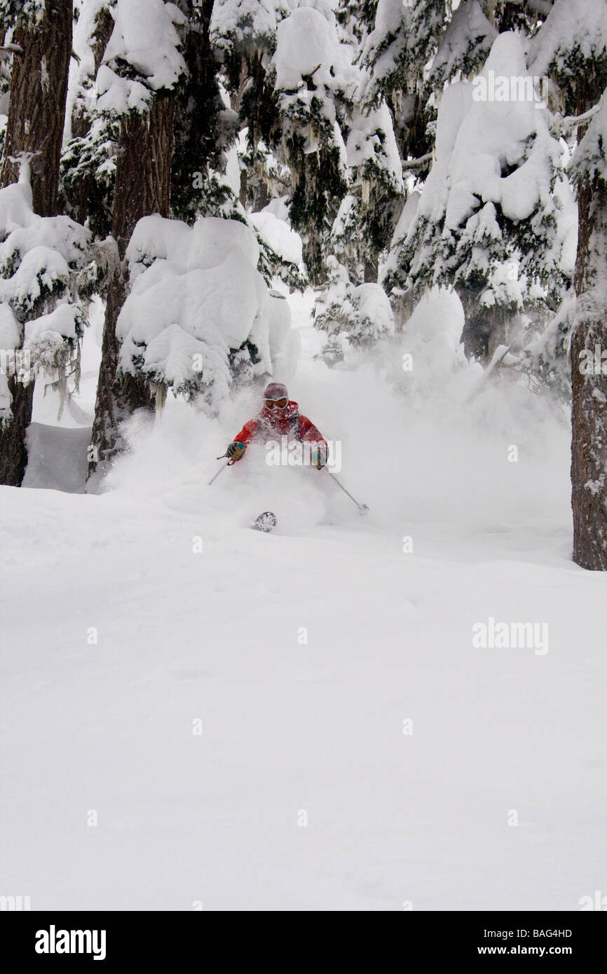 Backcountry skiing Ripley Creek Heli Skiing Stewart British Columbia
