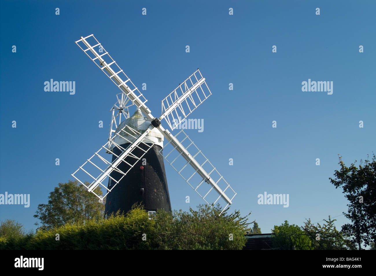 Stretham windmill against clear blue sky with green trees in foreground Stock Photo