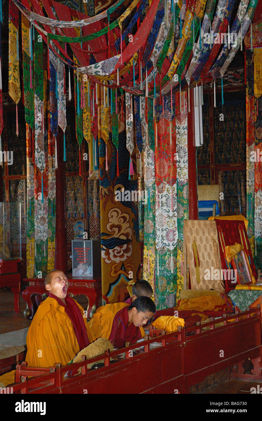 Selenge province hi-res stock photography and images - Alamy