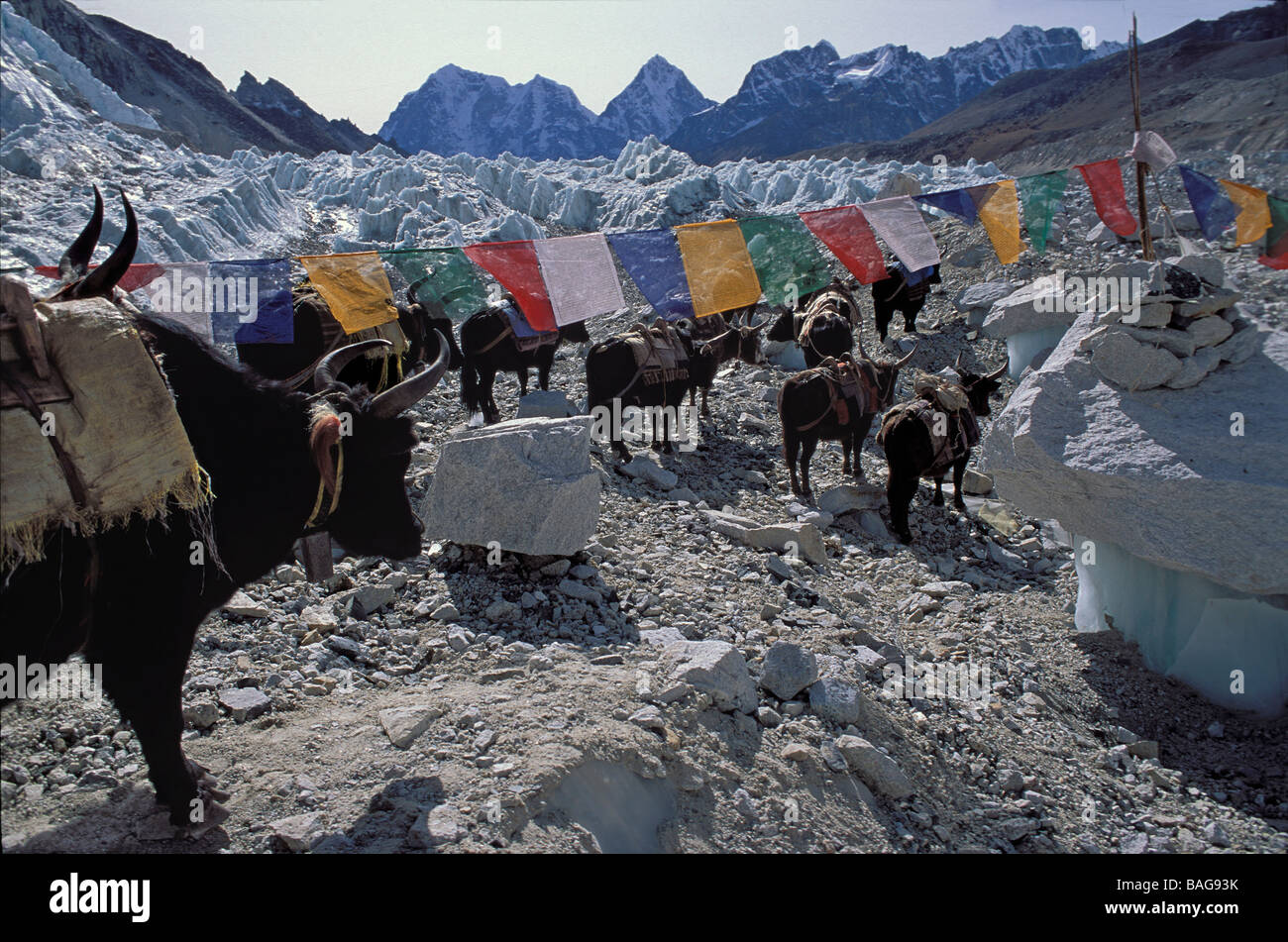 Nepal, Sagarmatha Zone, Solu Khumbu District (Solukhumbu), Khumbu ...