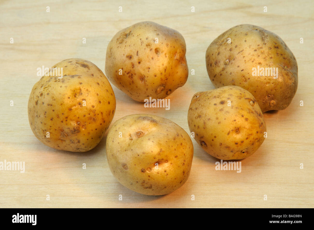 Potato (Solanum tuberosum), variety: La Bonnotte, studio picture Stock Photo