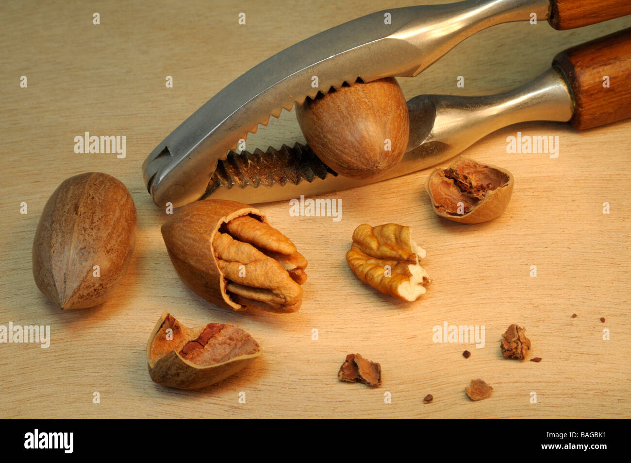 Pecan (Carya illinoiensis), whole and opened nuts with nutcracker