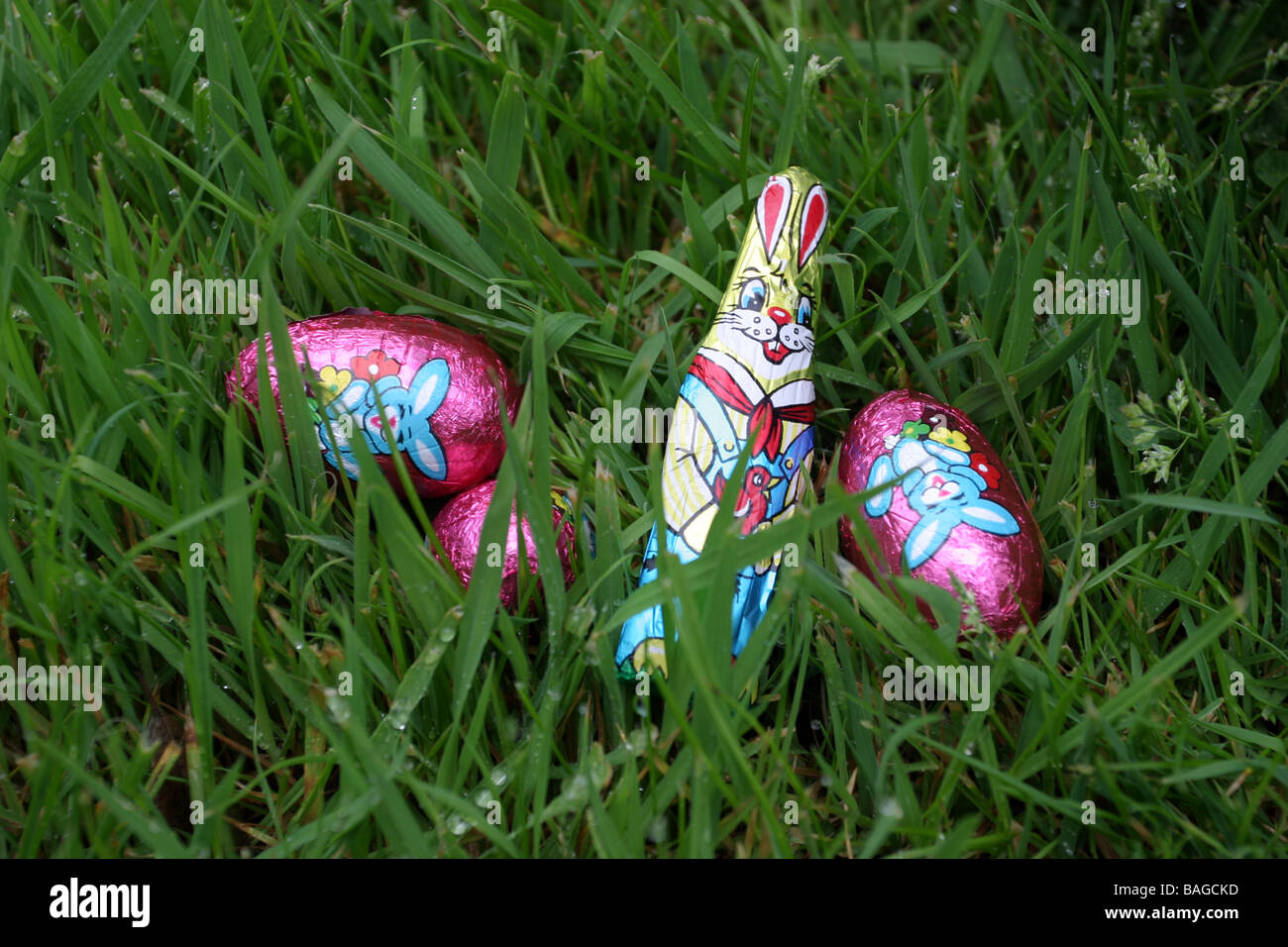 Easter Egg Hunt Stock Photo
