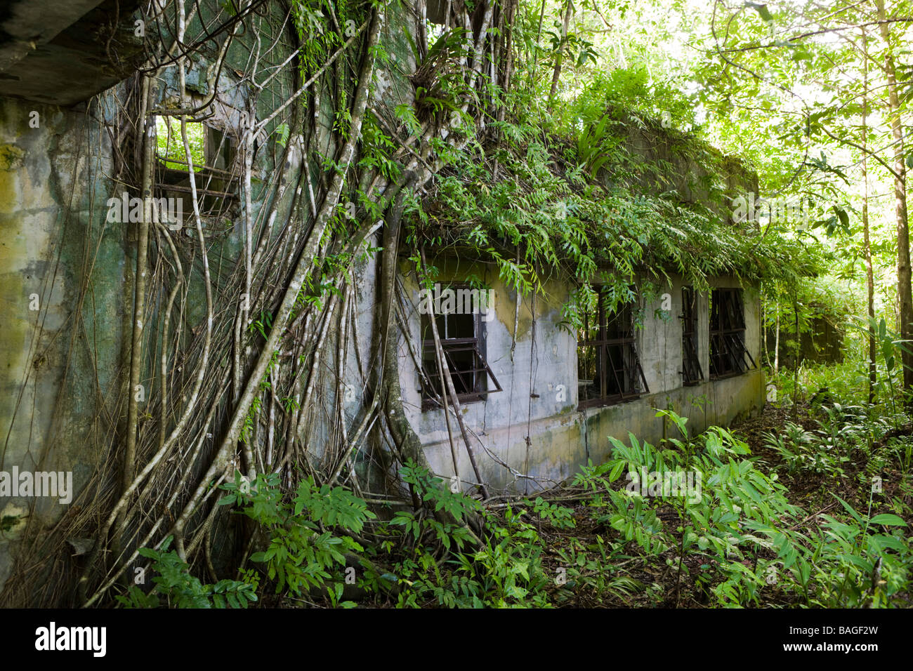 Japanese Headquarter at II World War Peleliu Island Micronesia Palau Stock Photo