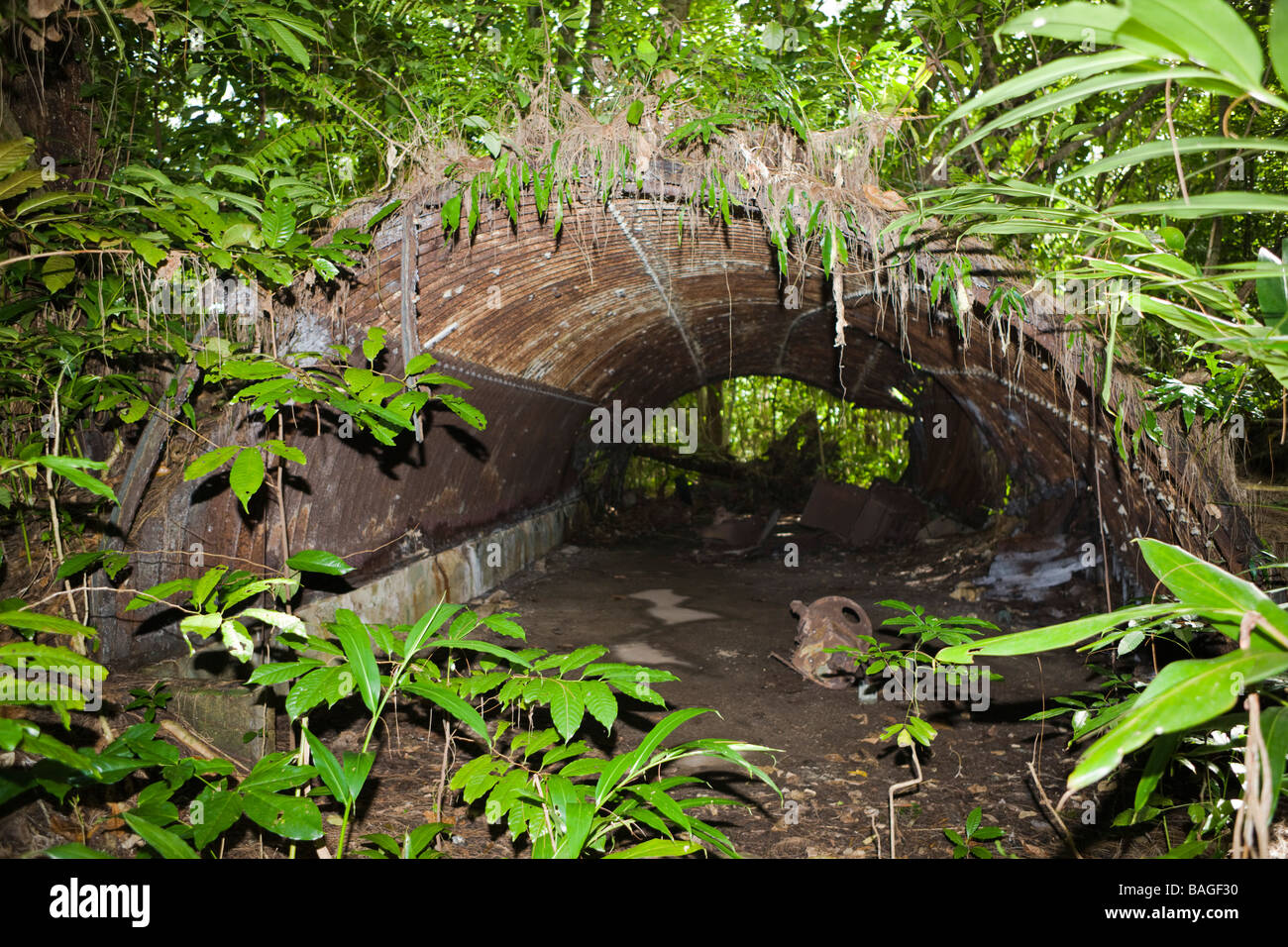 Japanese Headquarter at II World War Peleliu Island Micronesia Palau