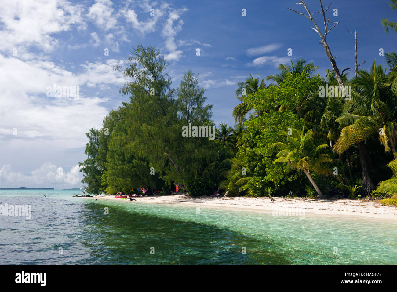 Palm lined Beach at Palau Micronesia Palau Stock Photo