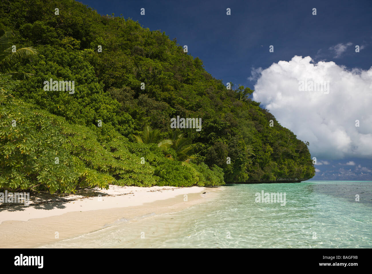 Beach of Palau Micronesia Palau Stock Photo