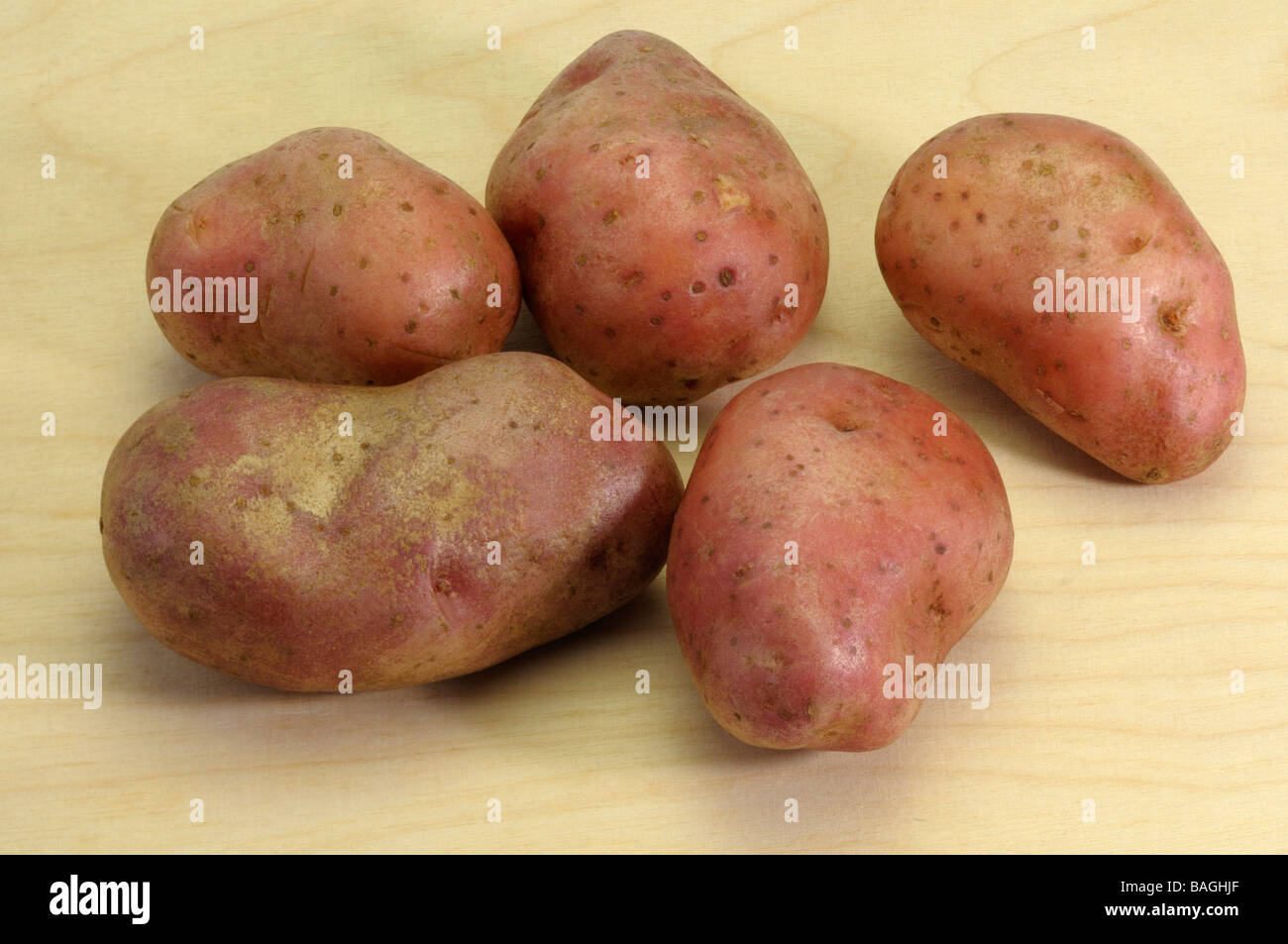 Potato (Solanum tuberosum), variety Cherie, studio picture Stock Photo