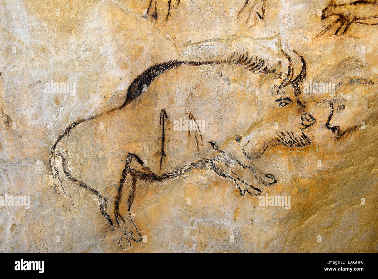 France, Ariege, Niaux, prehistoric cave, original paintings Stock Photo