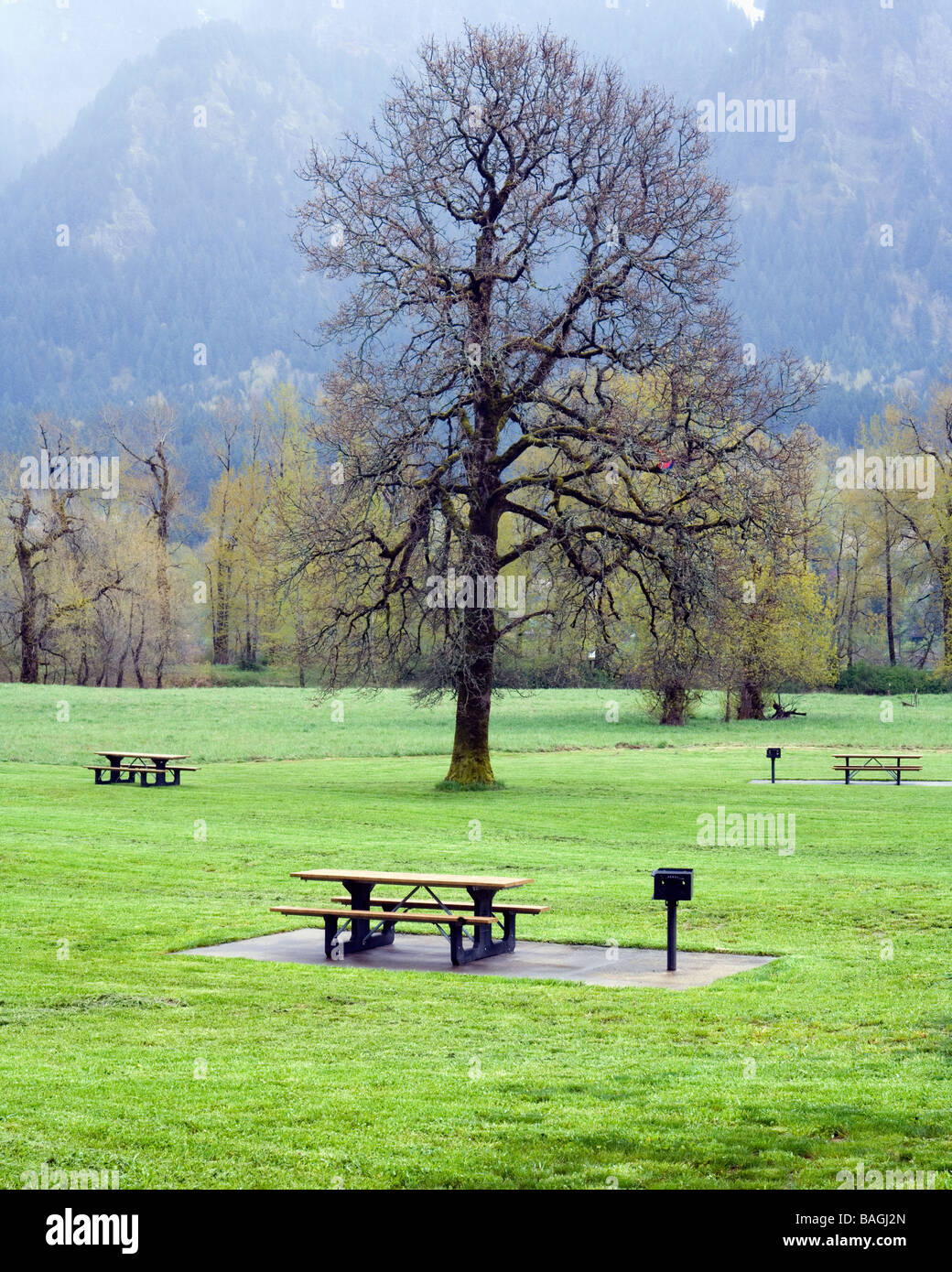 Grassy picnic area Beacon Rock State Park, North Bonneville, Washington Stock Photo Alamy