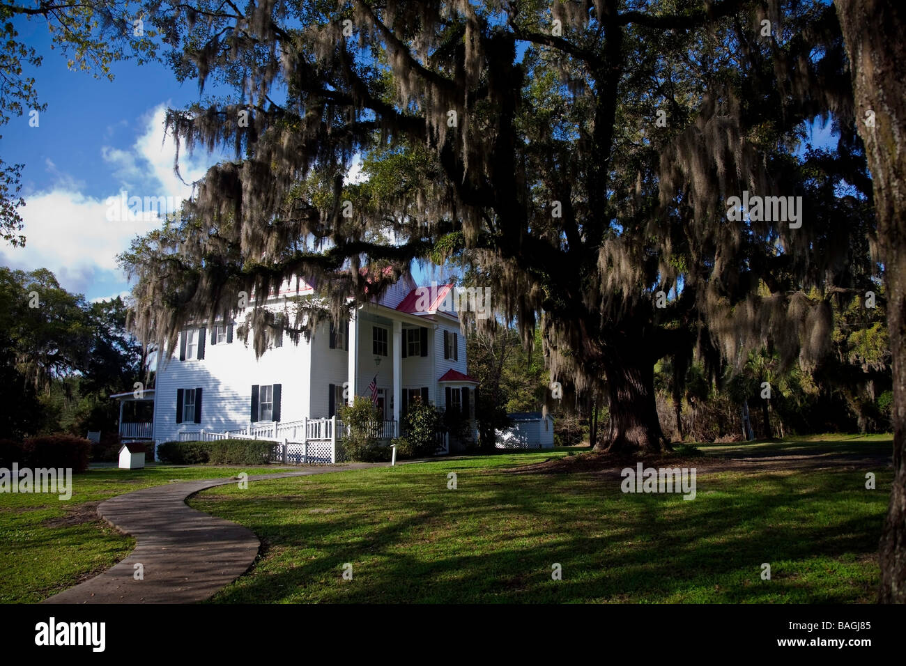 White oak plantation hi-res stock photography and images - Alamy