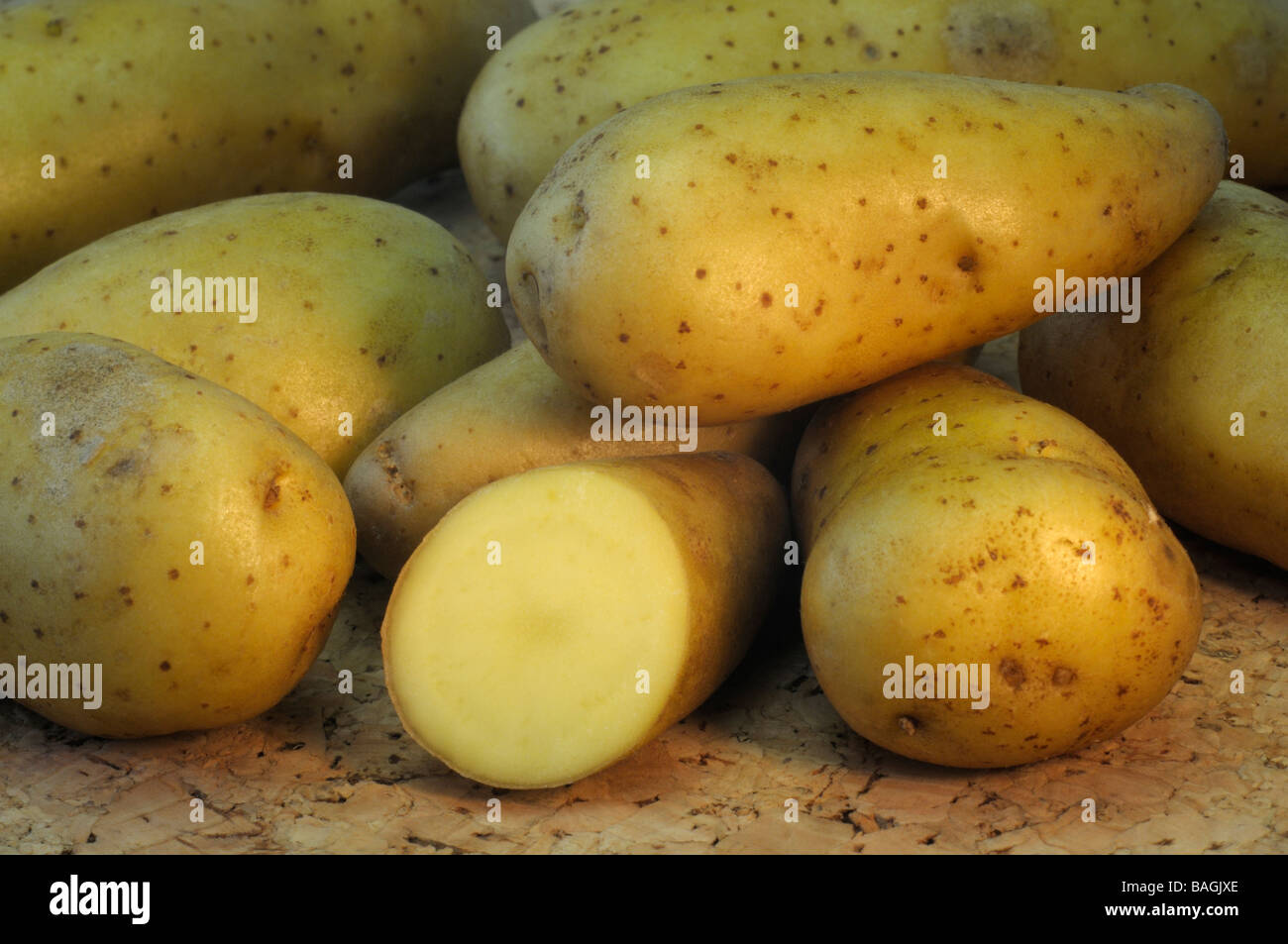Potato (Solanum tuberosum), variety: La Ratte d Ardeche, studio picture Stock Photo