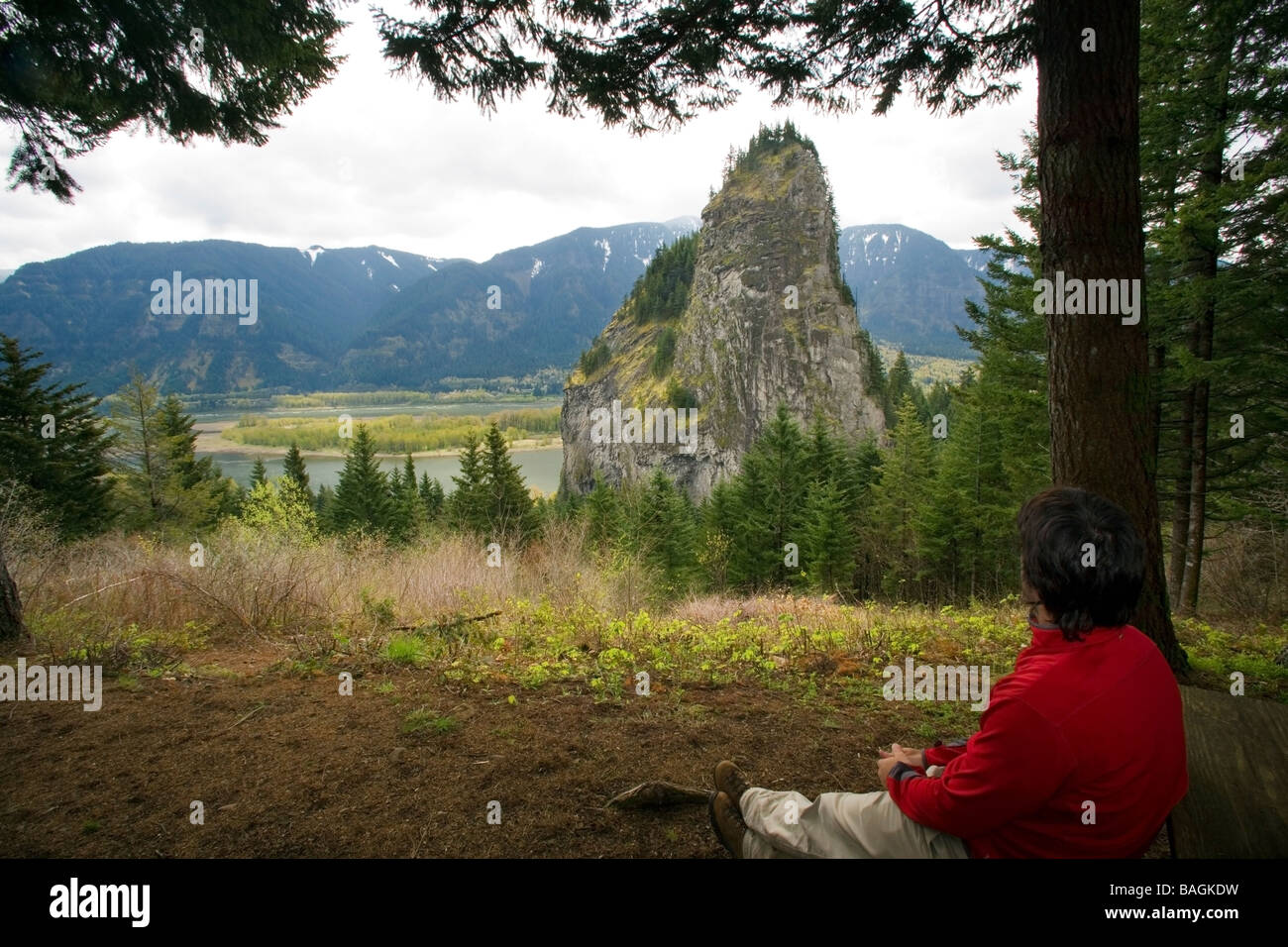 Man looking out on Beacon Rock Beacon Rock State Park, North Bonneville, Washington Stock