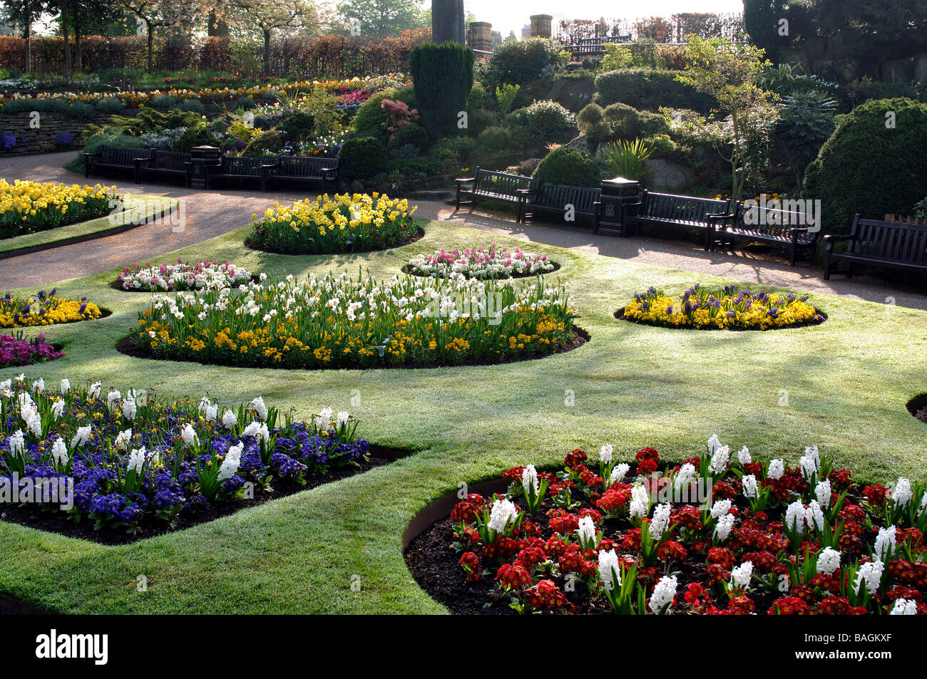 Spring flowerbeds in The Dingle, Shrewsbury, Shropshire, England, UK Stock Photo