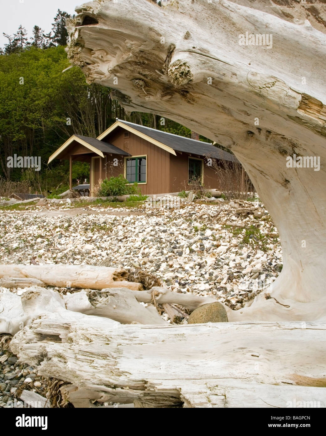 Cabin Cama Beach State Park Washington Stock Photo 23725765