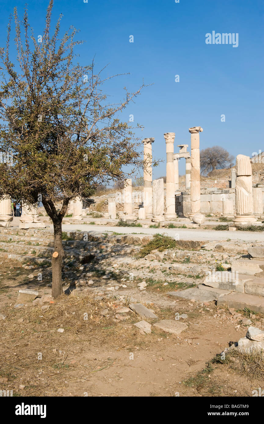 Prytaneion Artemis Temple Ephesus Turkey Stock Photo