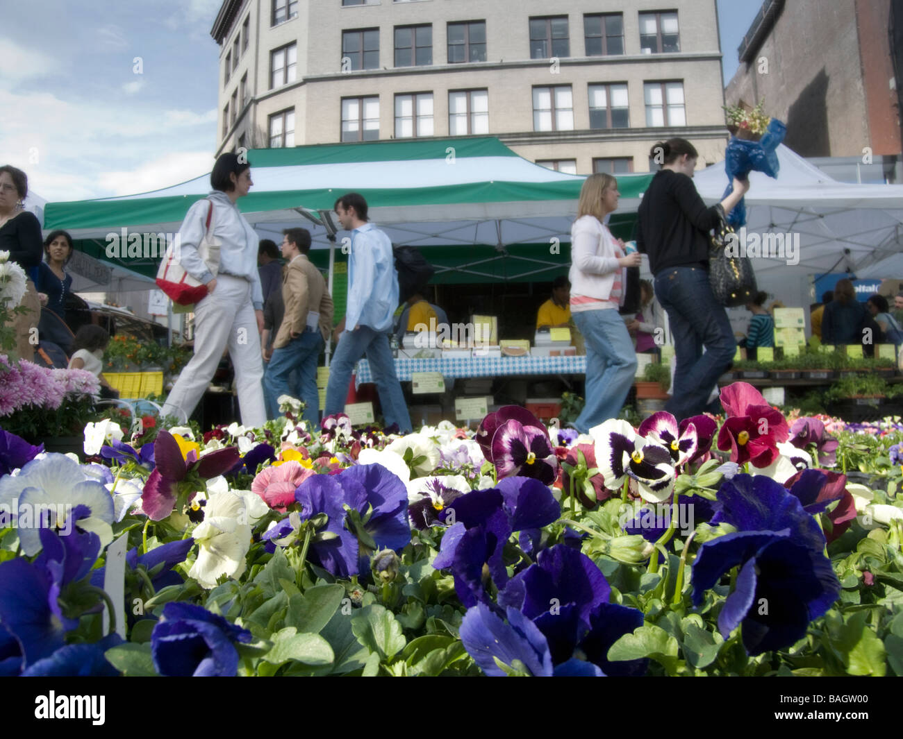 Richard angle hires stock photography and images Alamy