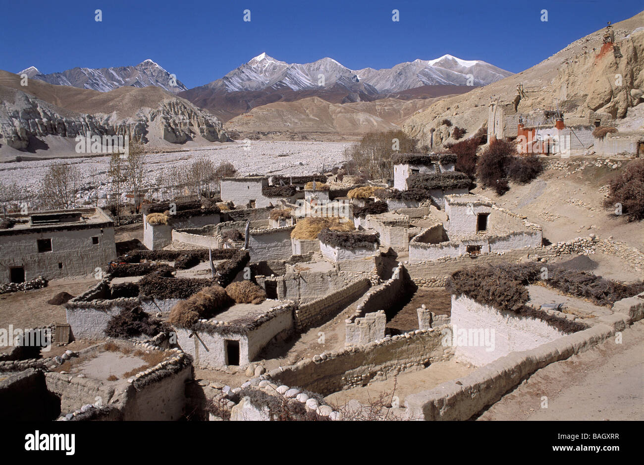 Nepal, Dhawalagiri Zone, Mustang District (former Kingdom of Lo), Garphu village at the Tibetan border Stock Photo