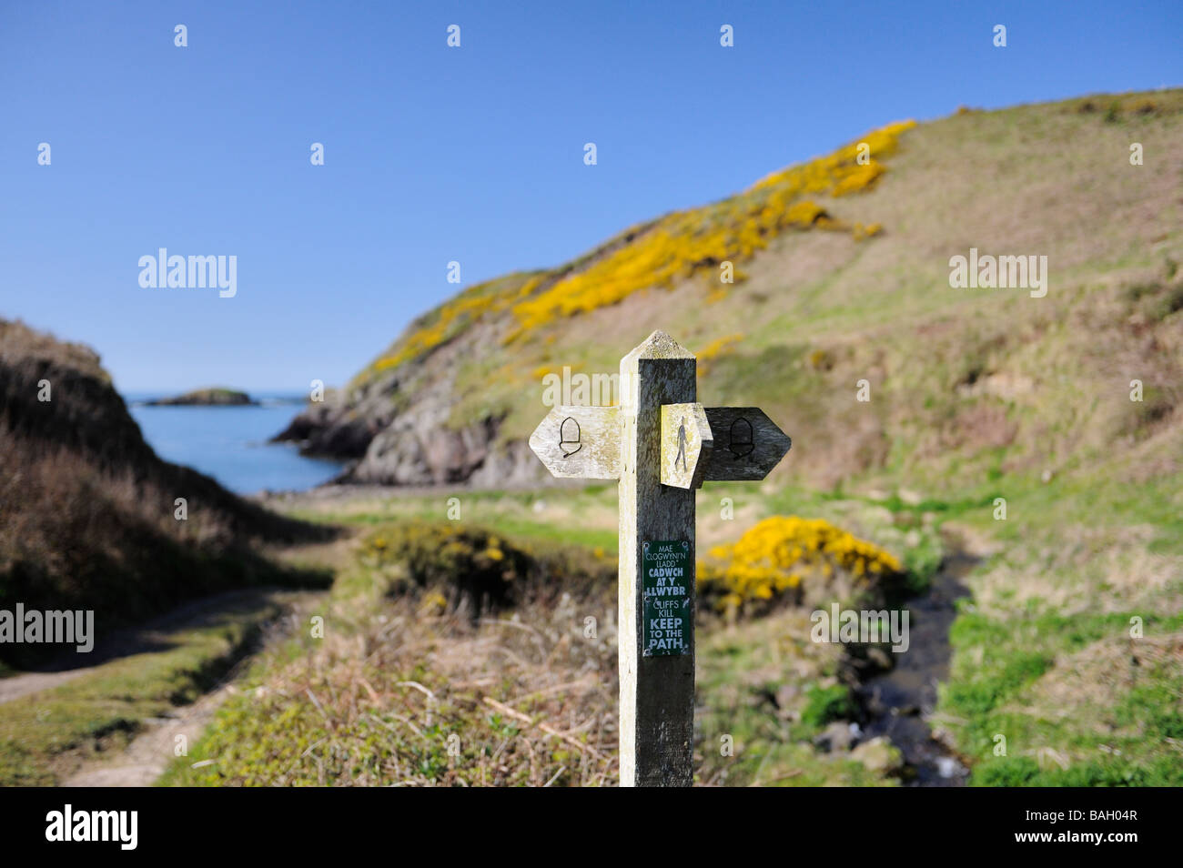 Signpost on the Pembrokeshire coast path Wales UK Stock Photo - Alamy