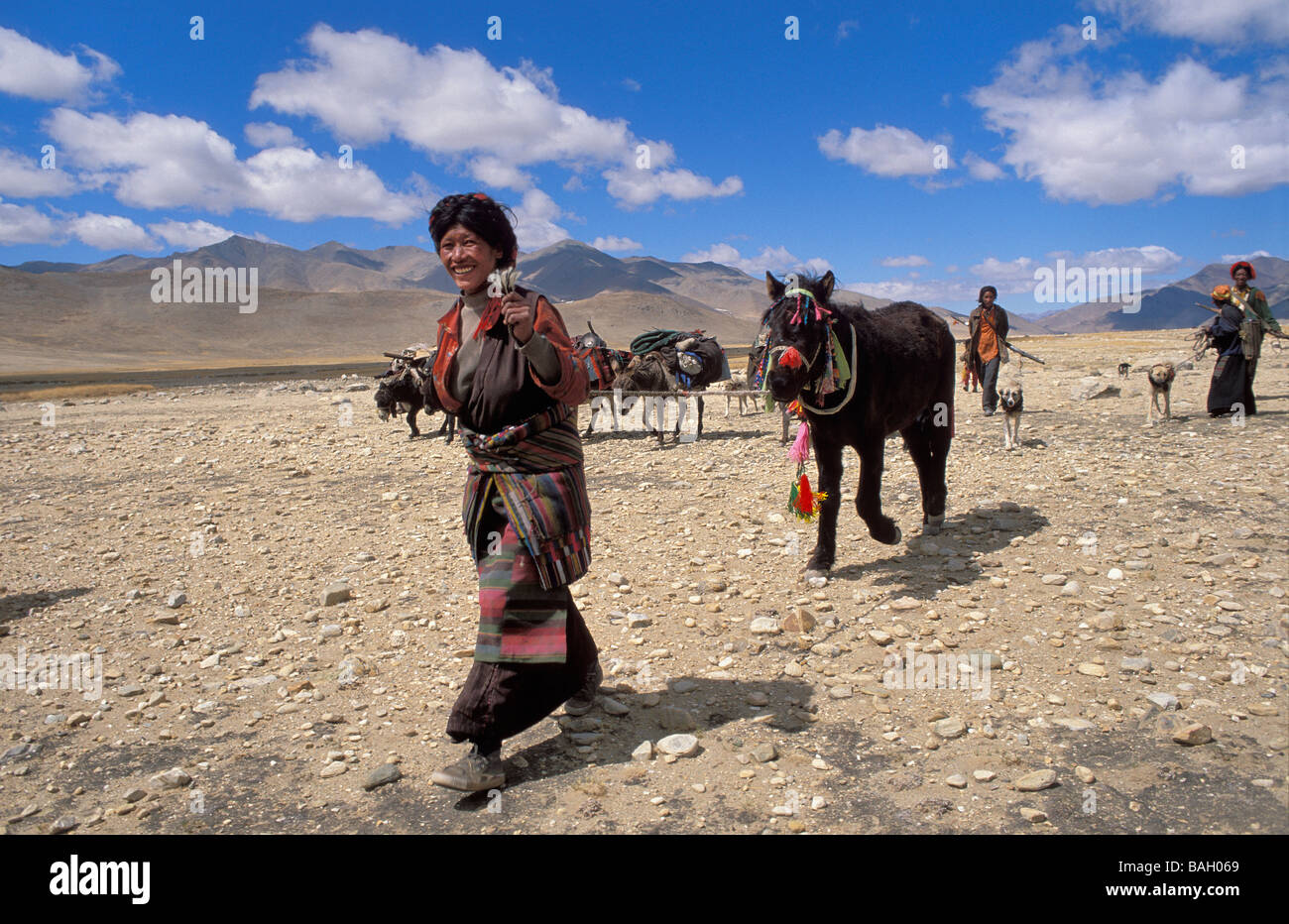 China, Tibet Autonomous Region, Ngari Prefecture, near Saga, nomads Stock  Photo - Alamy