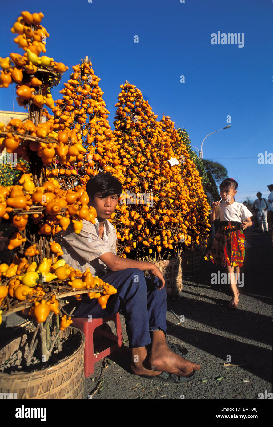 Vietnam, Saigon (Ho Chi Minh City), Nguyen Hue Avenue, the Tet flower market Stock Photo