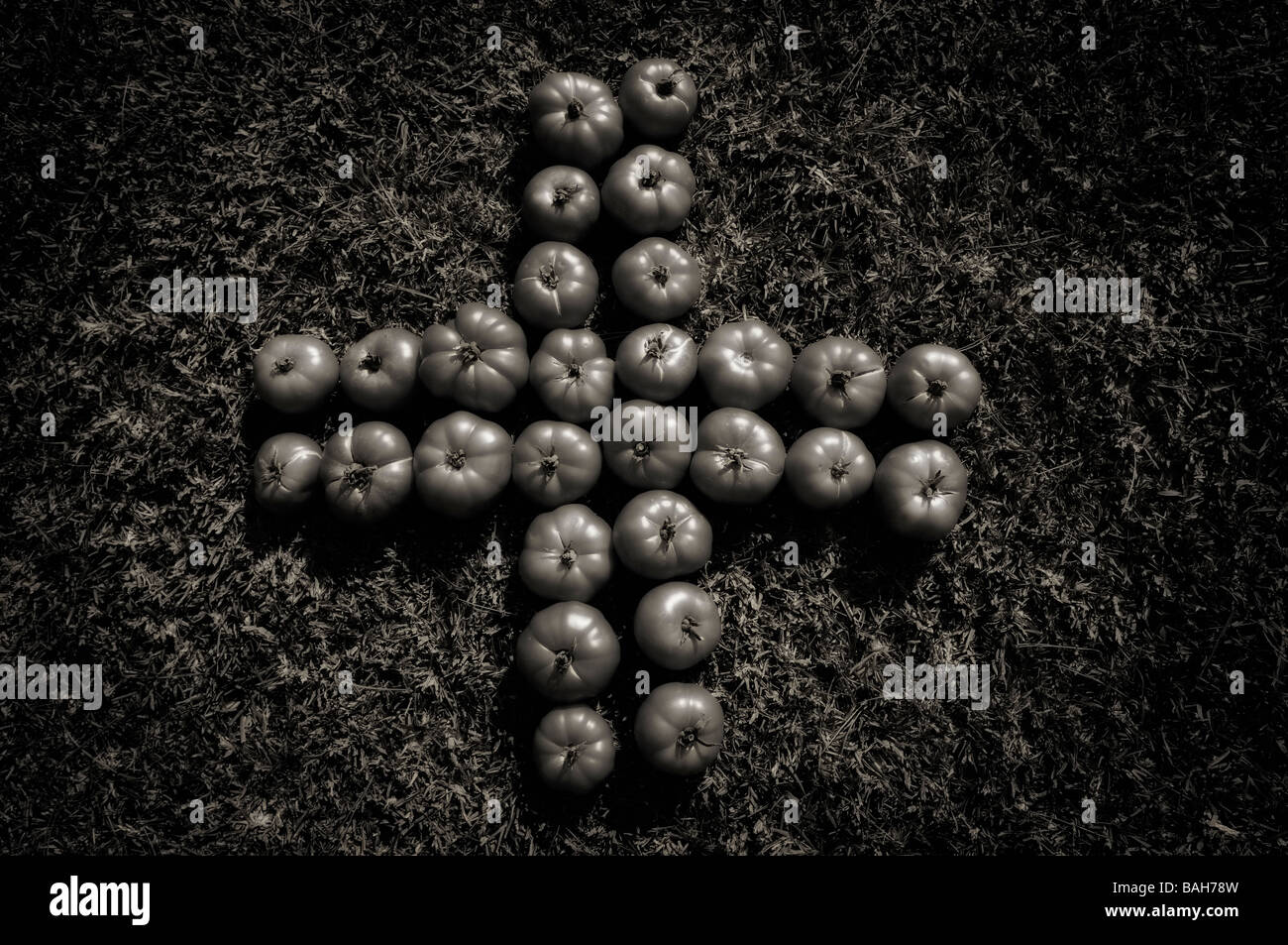 Group of tomatoes representing a cross over the grass in black and white Stock Photo