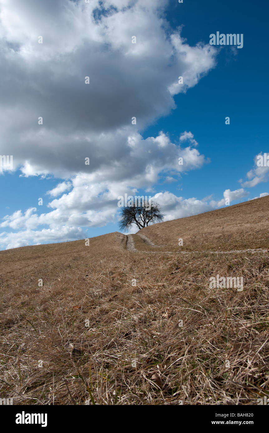 Lonely tree road hi-res stock photography and images - Alamy