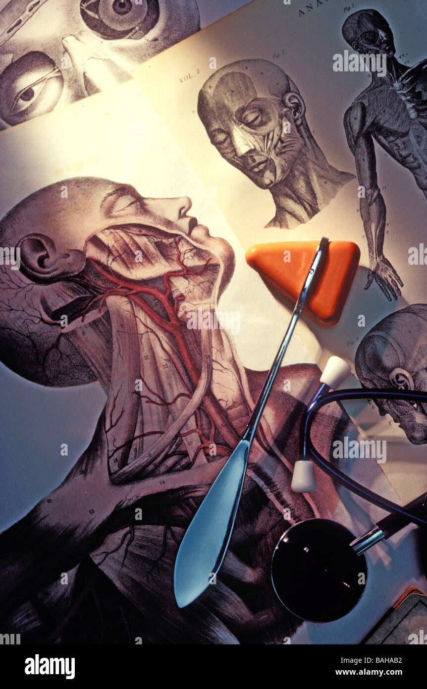Medical illustration and doctor tools Stock Photo
