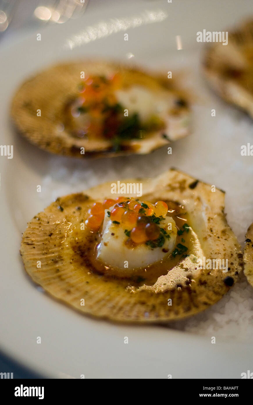 scallops with salmon roe Stock Photo