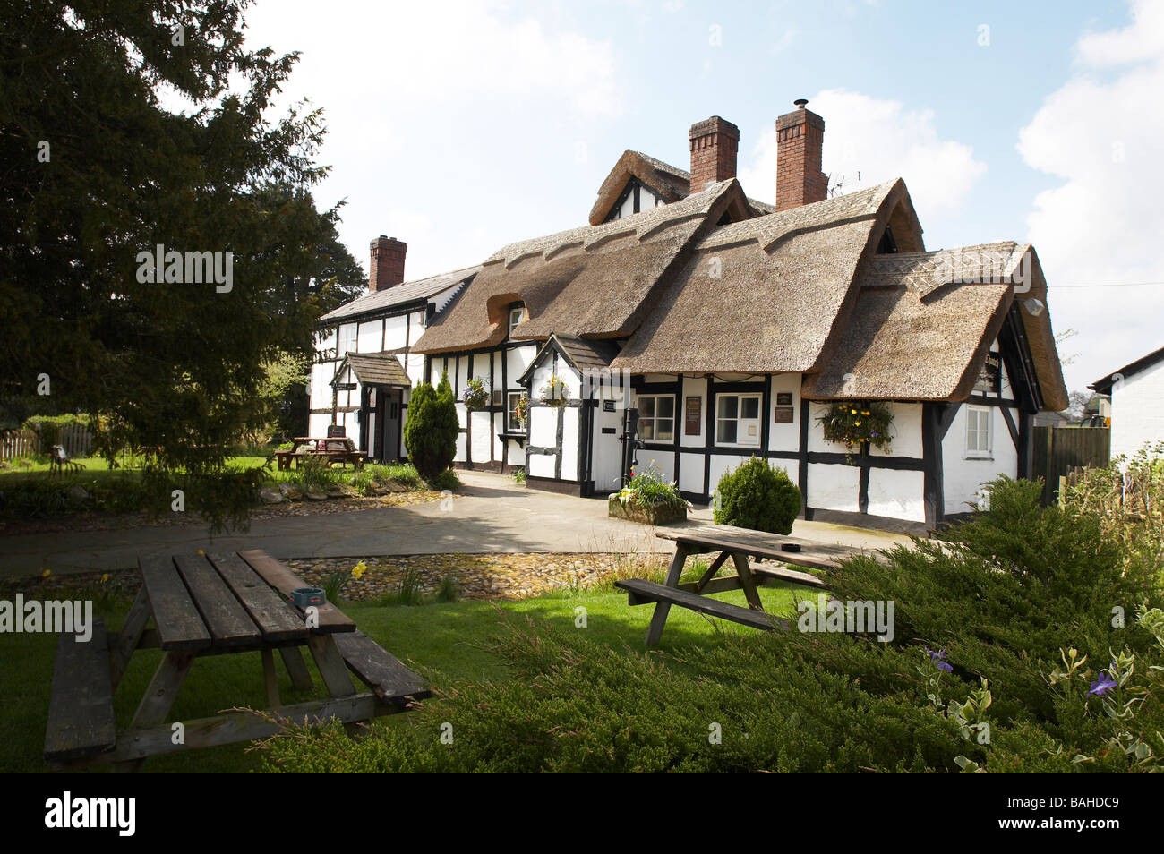 The Thatch Inn public house in Faddiley Cheshire UK Stock Photo Alamy