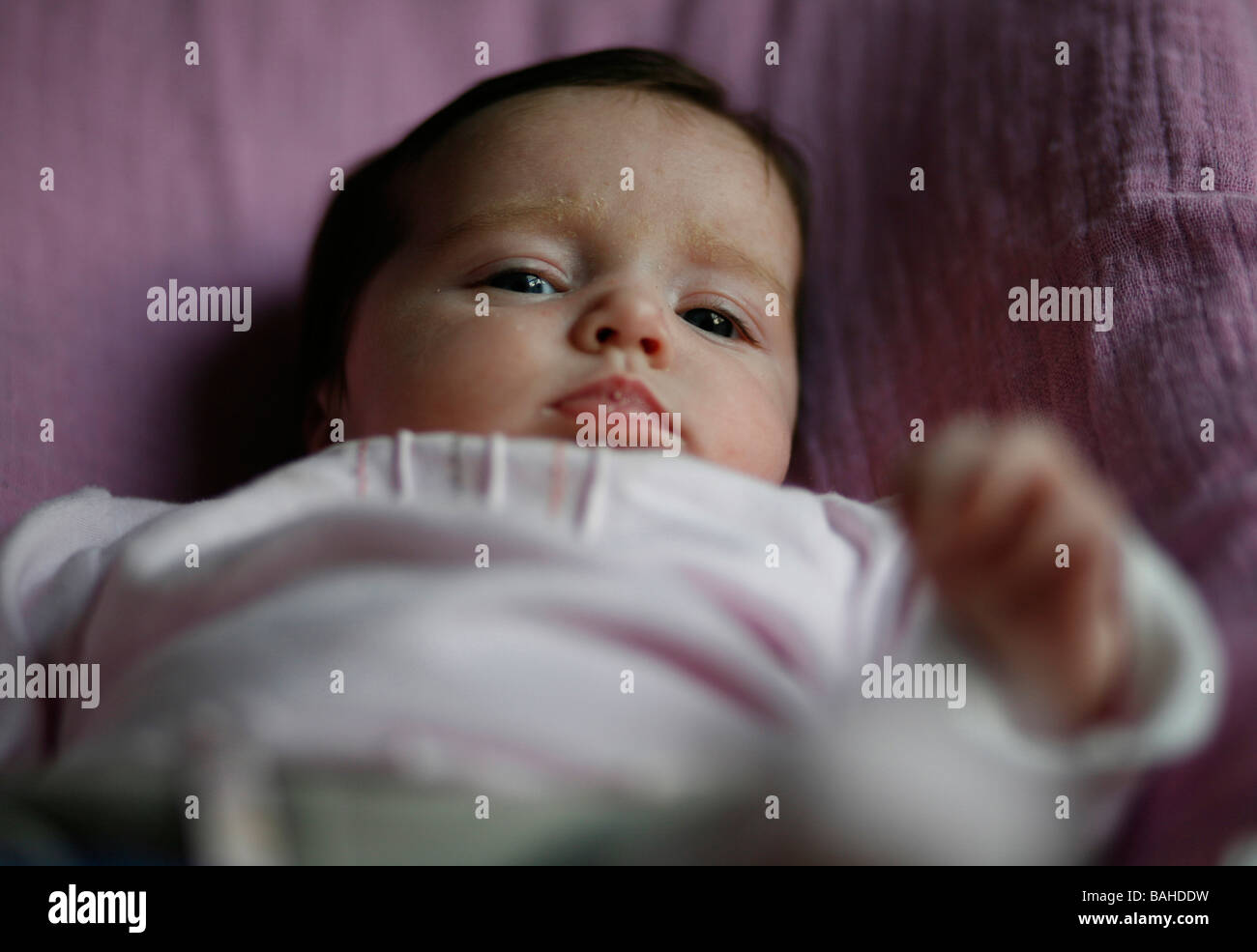 Portrait of a baby girl Stock Photo - Alamy