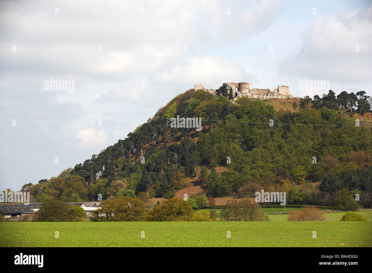 Beeston castle in Cheshire UK Stock Photo Alamy