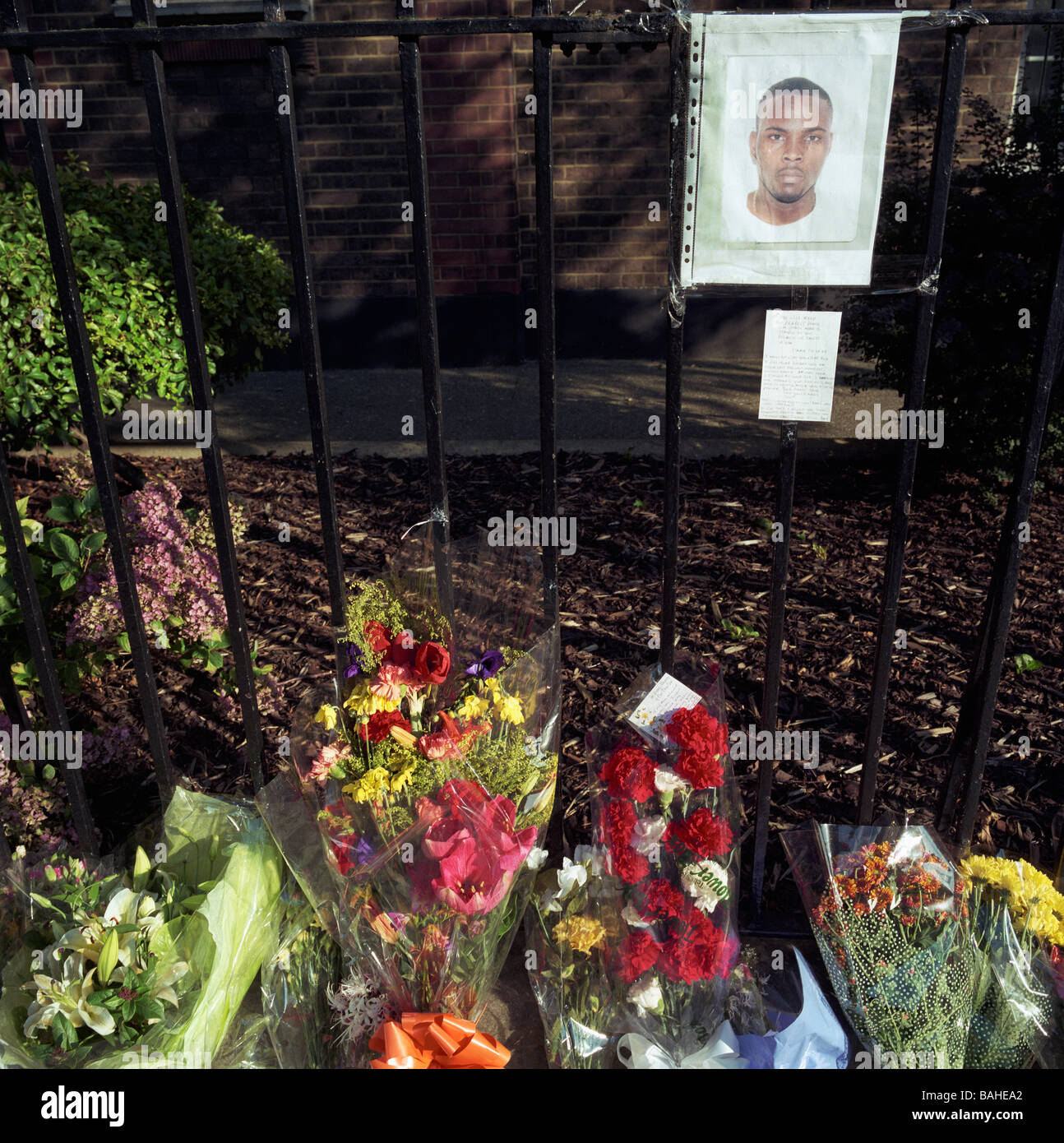 A flower memorial has been placed where a youth called ‘Indian’ died on Warner Road, Camberwell, London, England Stock Photo