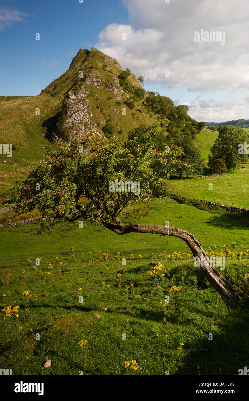Parkhouse Hill from Chrome Hill, Peak District National Park, Derbyshire, England Stock Photo
