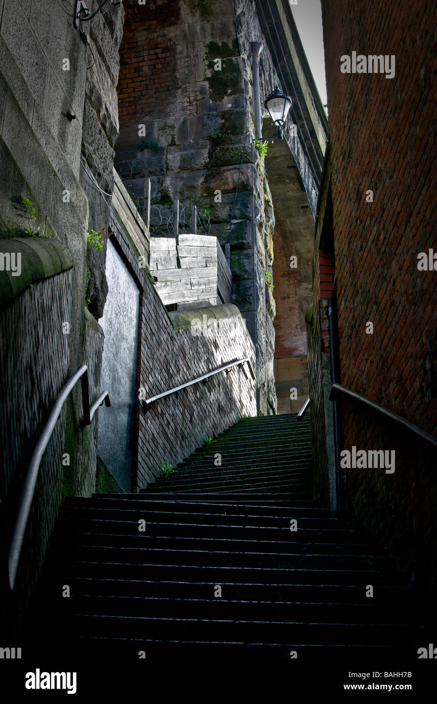 Dog leap stairs newcastle hires stock photography and images Alamy