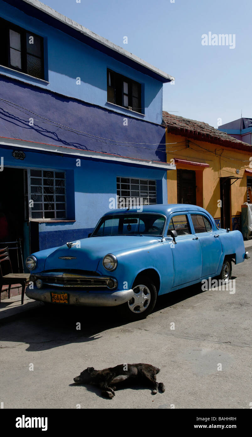 Blue Dodge & dog in sun, Havana, Cuba Stock Photo