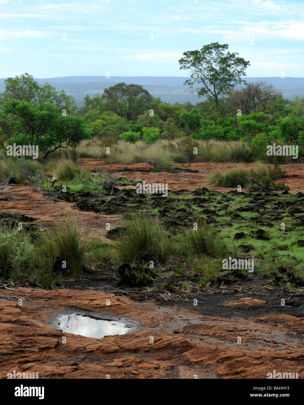 A view across the mountainous vegetation of the Waterberg biosphere in South Africa. Stock Photo