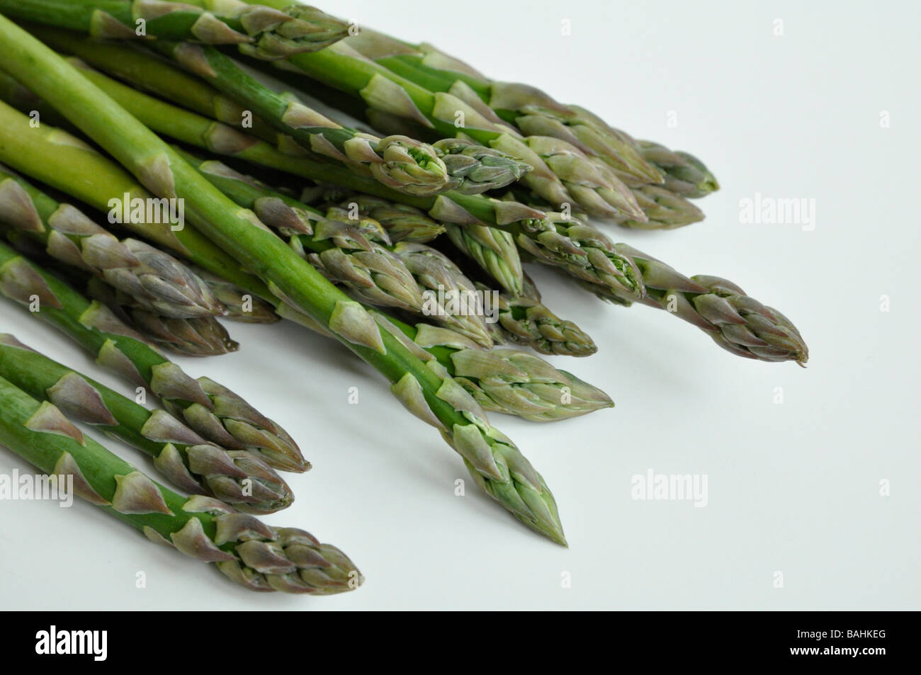 Asparagus tips on a white background Stock Photo