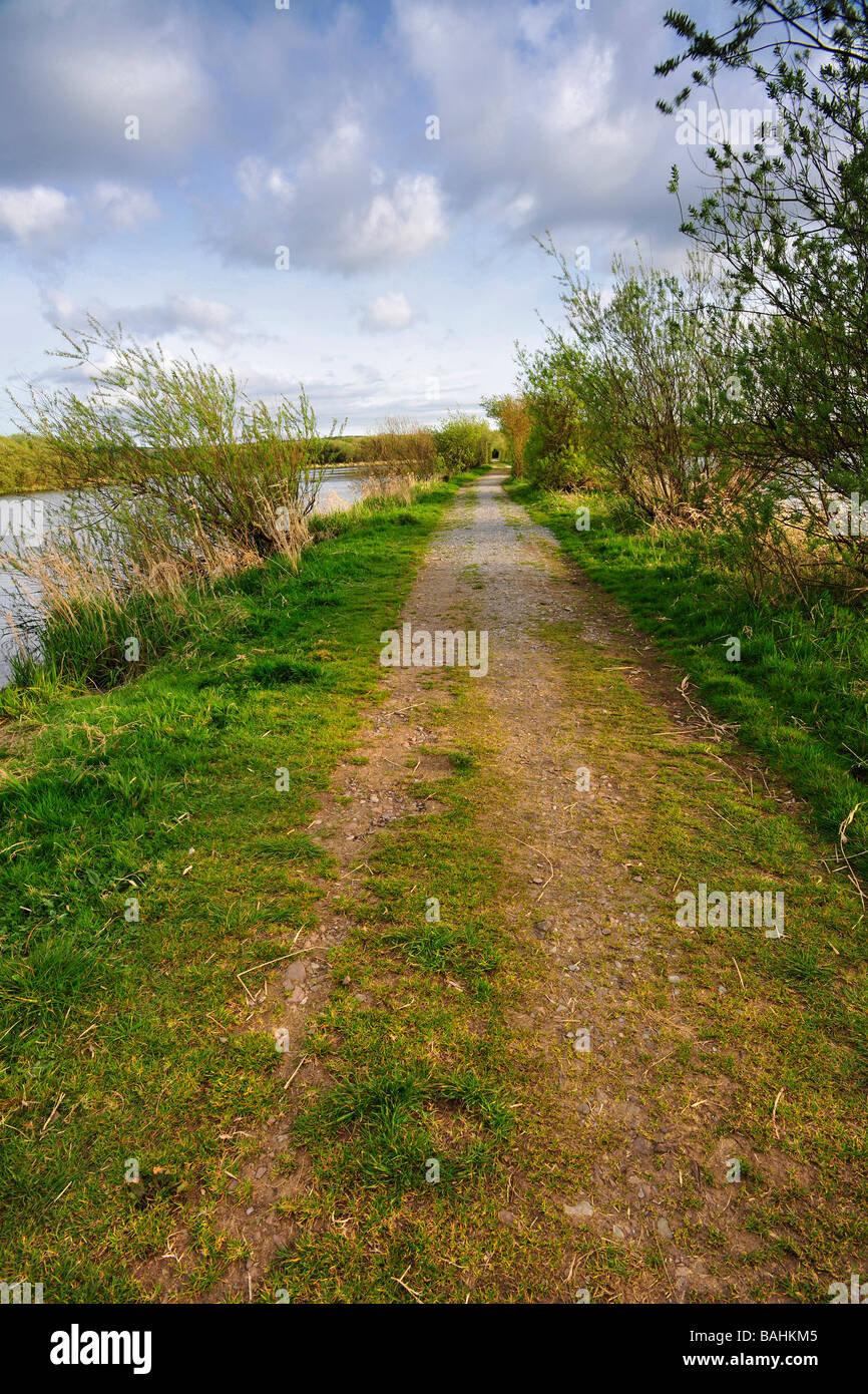 popular pathway for walkers in The Lee Valley,Co.Cork, Ireland Stock Photo
