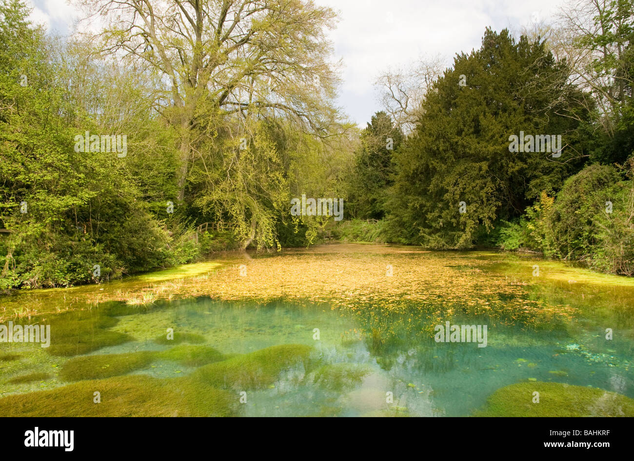 The Silent Pool in Surrey, England. Stock Photo